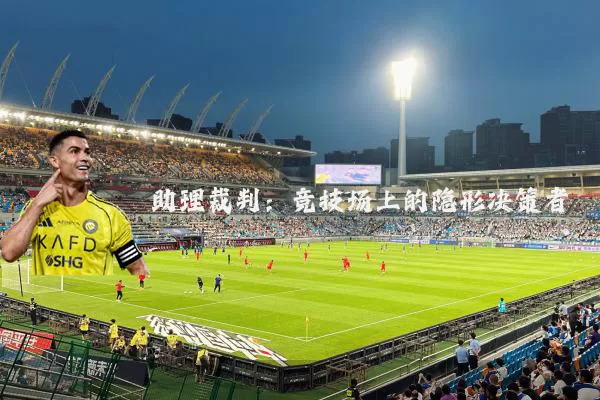 助理裁判：竞技场上的隐形决策者